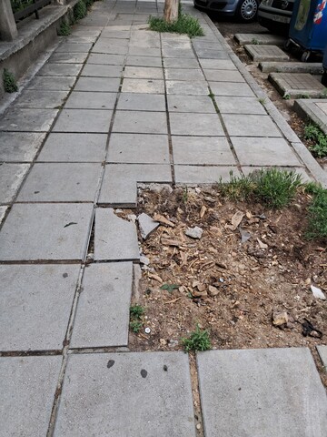 Φωτογραφία 3